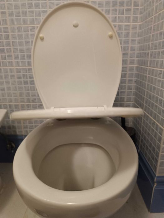 Tampo sanita SenSea com fecho suave silencioso e assento extra criança