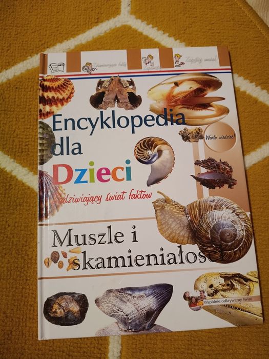 Encyklopedia dla dzieci zadziwiający świat  muszli i skamieniałosci