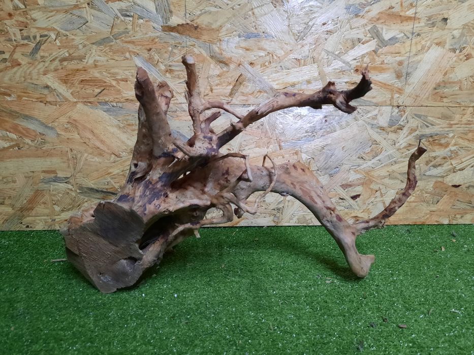 Korzeń do akwarium Red Moore Wood nr 1008 o wymiarach 43/21/44