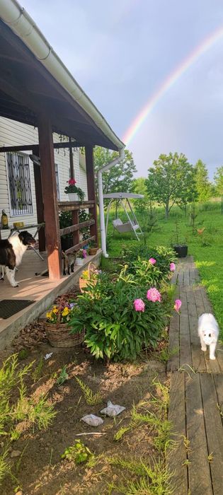 Продам будинок на межі Київської та Житомирської областей. Без сусідів