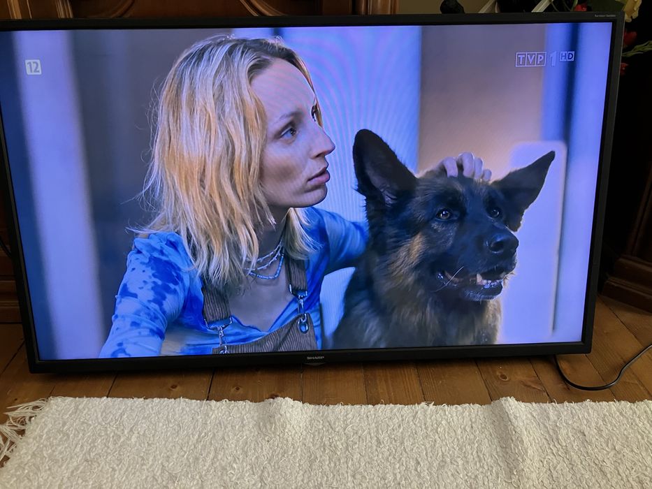Sharp 40” LCD TV