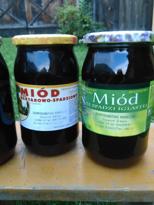 miód ze spadzi iglastej