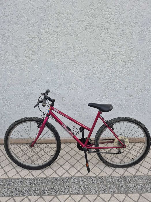 Bicicleta antiga