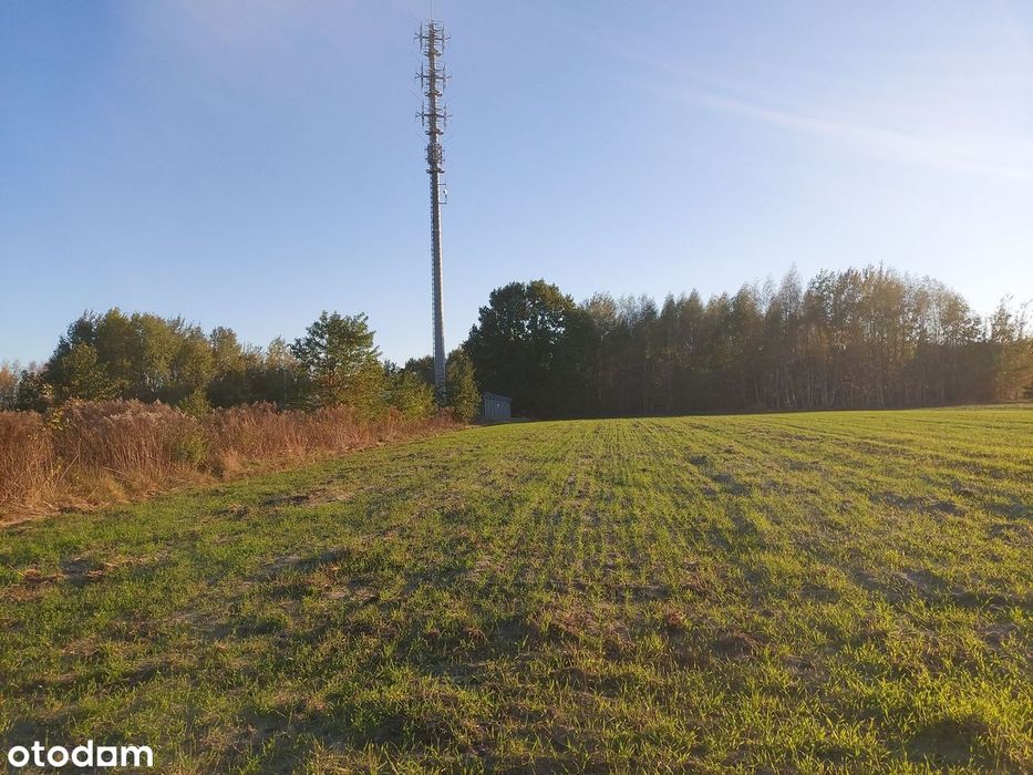 Sprzedam działkę rolno – budowalną położoną w Janowie w gm. Skaryszew - Widok 3
