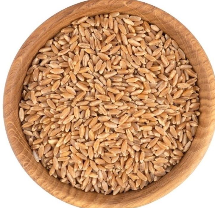 Спельта лущена