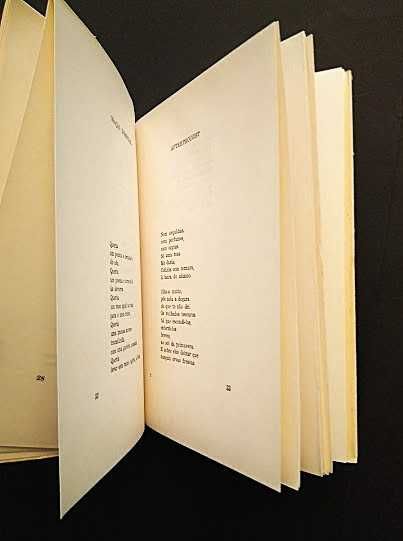 Margarida Futscher - Bens adquiridos