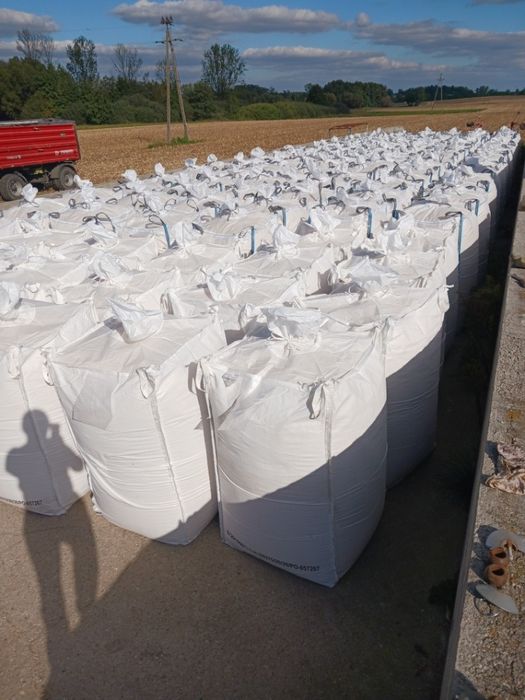 Sprzedam kukurydzę zmielone ziarno ccm