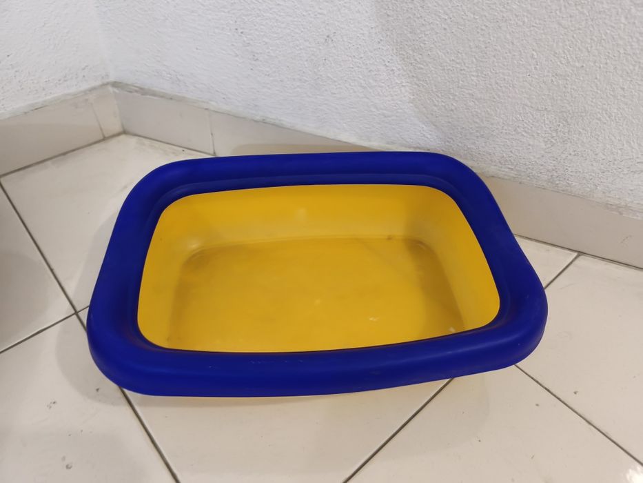 Casa de banho gatinhos