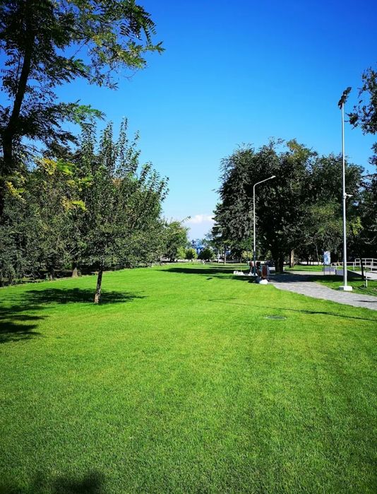 2 кімнатна квартираПарк ШевченкоКімнати роздільні.Цегляний будинокГАЗ.