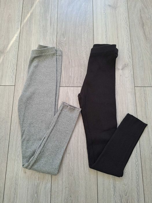 Legginsy Coccodrillo