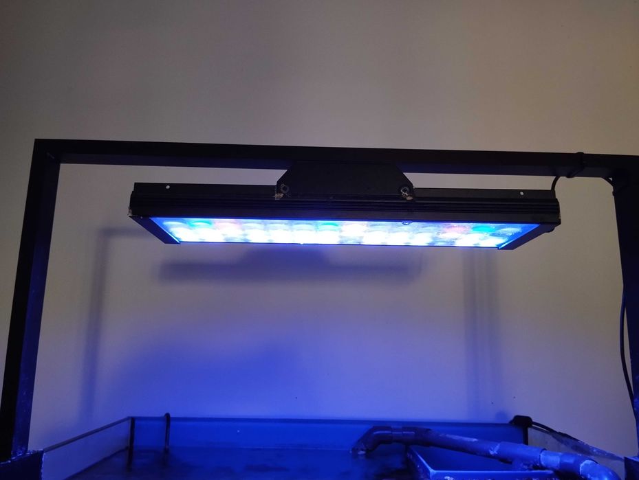 Aquário Agua Salgada 60x60x60 completo