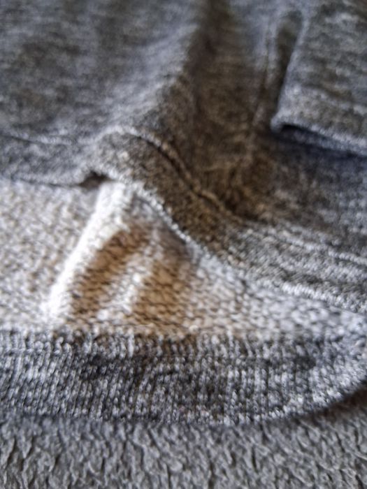 Sweatshirt cinza com raposa bordada da Zara