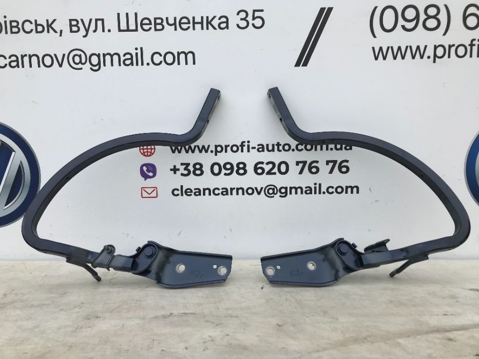 Петлі-завіси кришки багажника(комплет) Volkswagen Passat B7-B8-B9 NMS USA