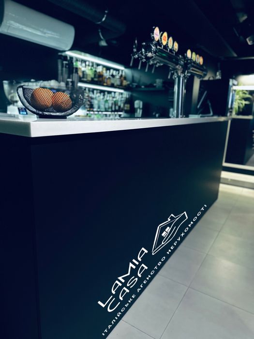 Продаж працюючого закладу. Небесна сотня (Стасюка)