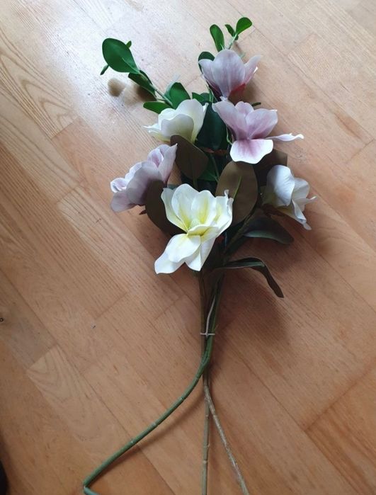 Kwiaty magnolii + gratis