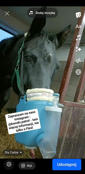 Inhalator dla koni Flexineb E2 / i E3 kompletne (dwa dostep