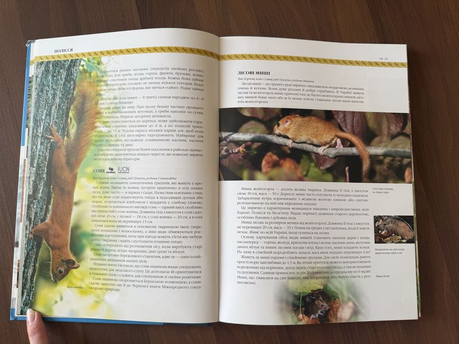 Природа України: тварини, птахи, комахи, риби - гарна енциклопедія