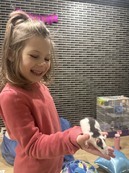 Щурики , пацючки ,криски маленькі