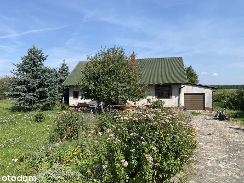 urocze siedlisko 40 km od Bydgoszczy