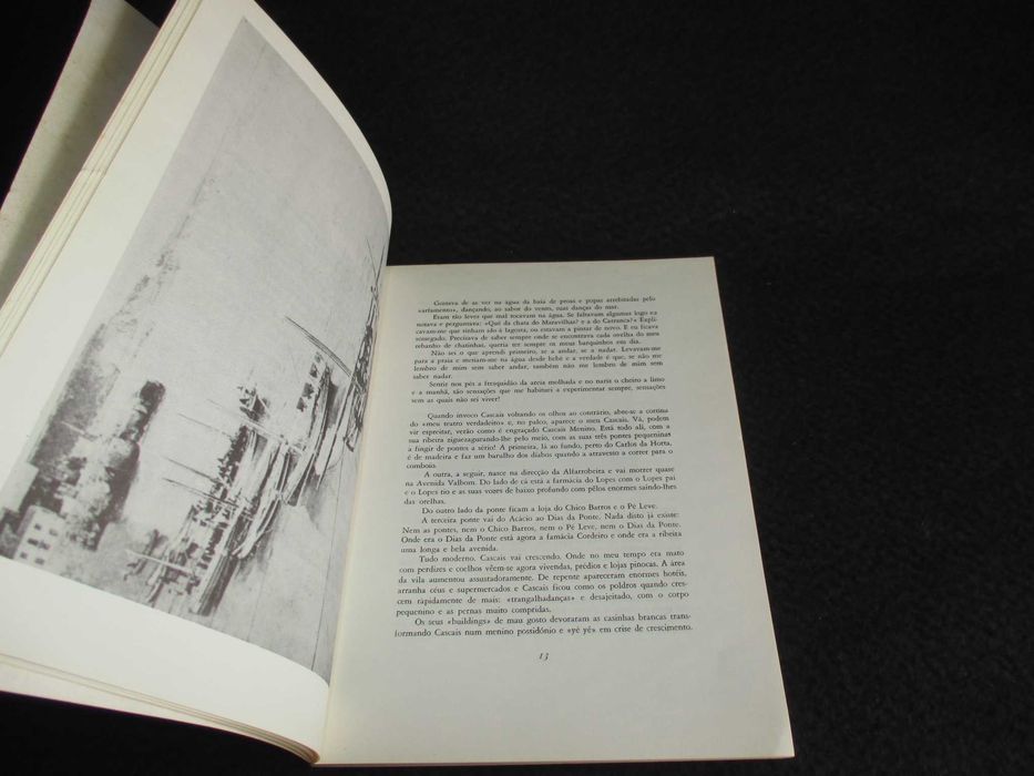 Livro Cascais Menino Pedro Falcão