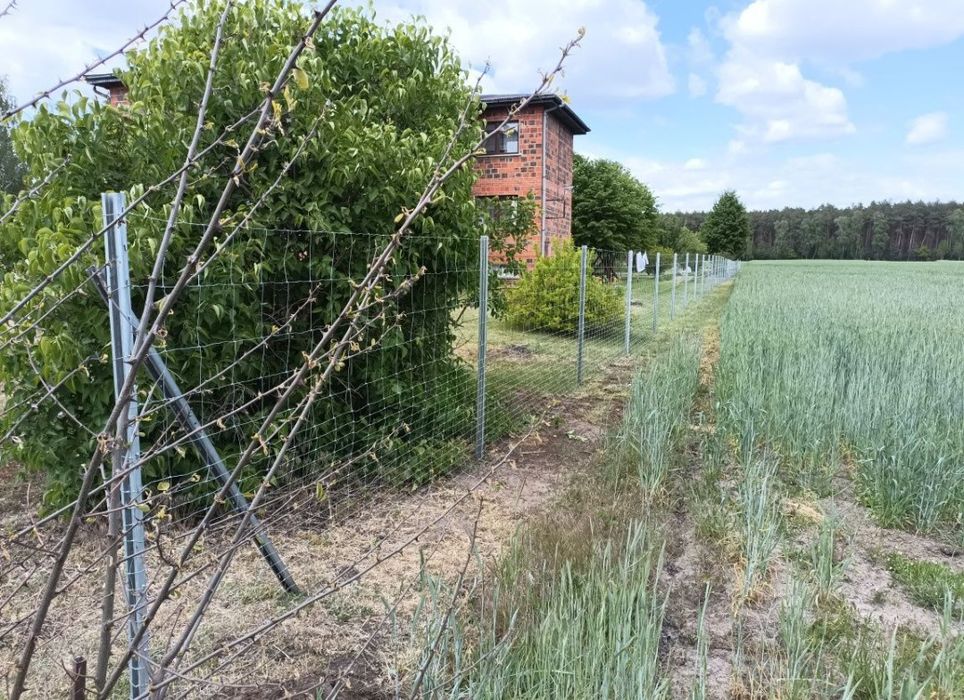 Ogrodzenia systemowe , leśne , tymczasowe , budowlane , siatka leśna