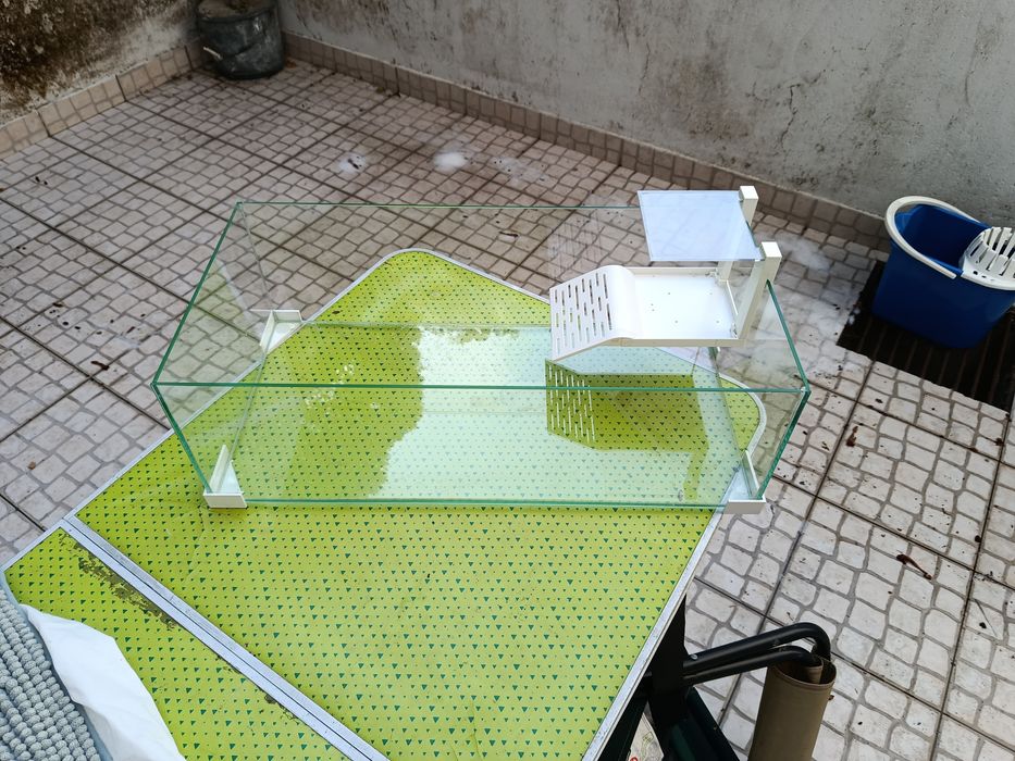 Aquaterrário para Tartarugas em Vidro | Excelente Estado