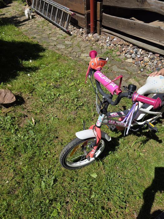 Rowerek dla dziewczynki 16 cali