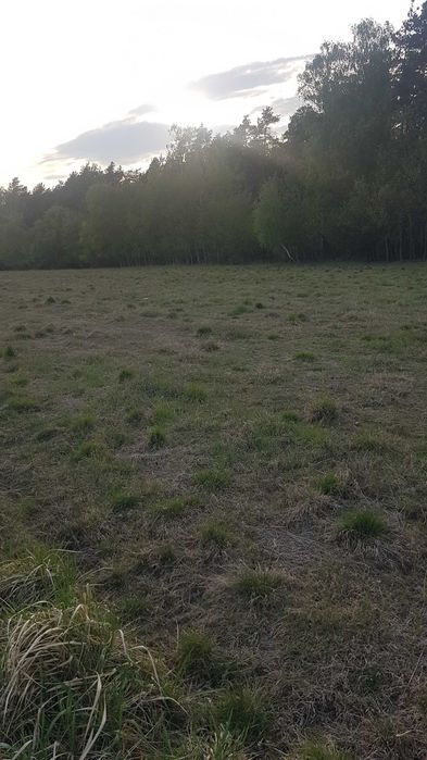 Działki budowlane