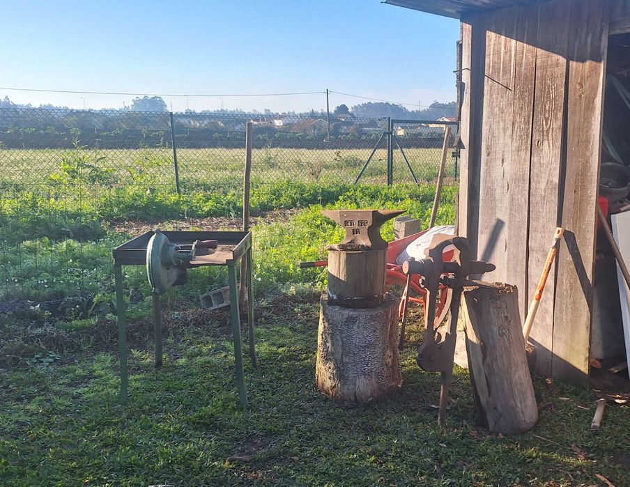 Carranca - Coleira Lobeira para Cão - Forjada 100% em Inox