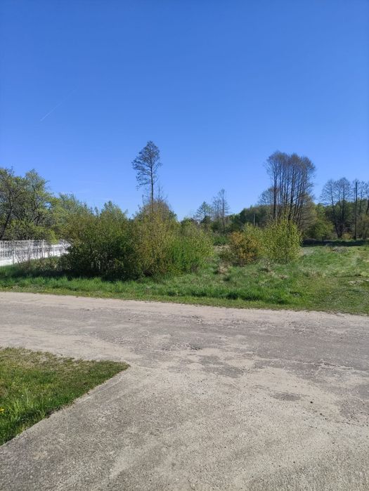 Sprzedam działkę rolno-budowalaną 1.53 ha cicha spokojna okolica