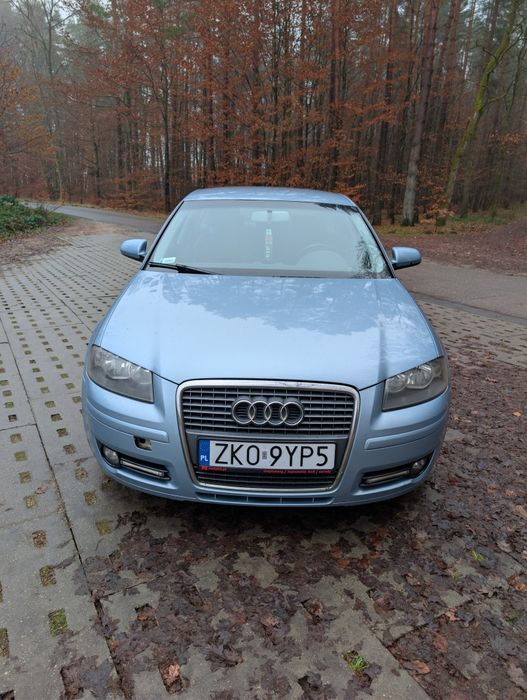 Audi A3 8p sportback 1.9 TDI DSG 2007R