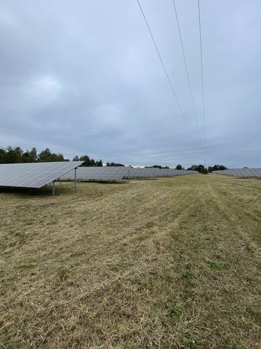 Koszenie, przycinanie  - prace porządkowe