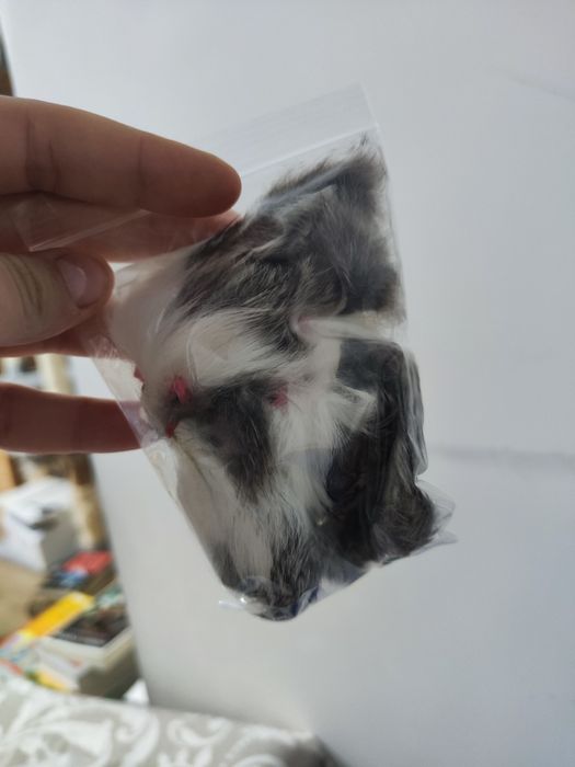 Zestaw myszki dla kota