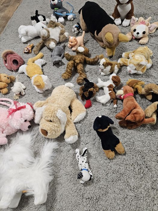 Mega paka zestaw maskotek pieski kotki 35szt