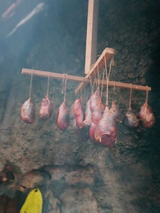 Salpicões do cachaço