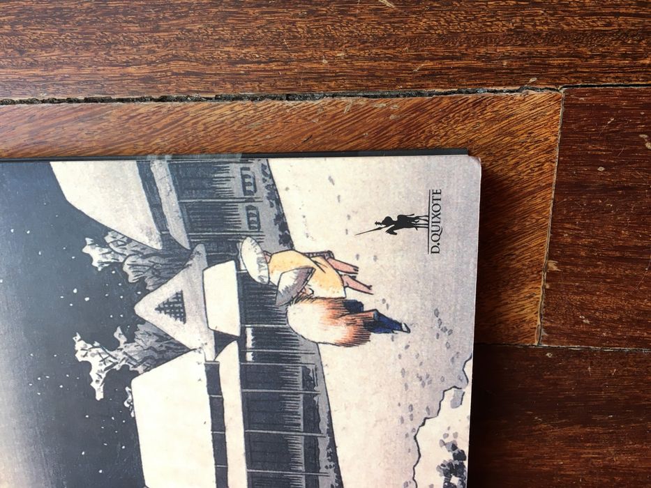 "Terra de Neve" (livro)