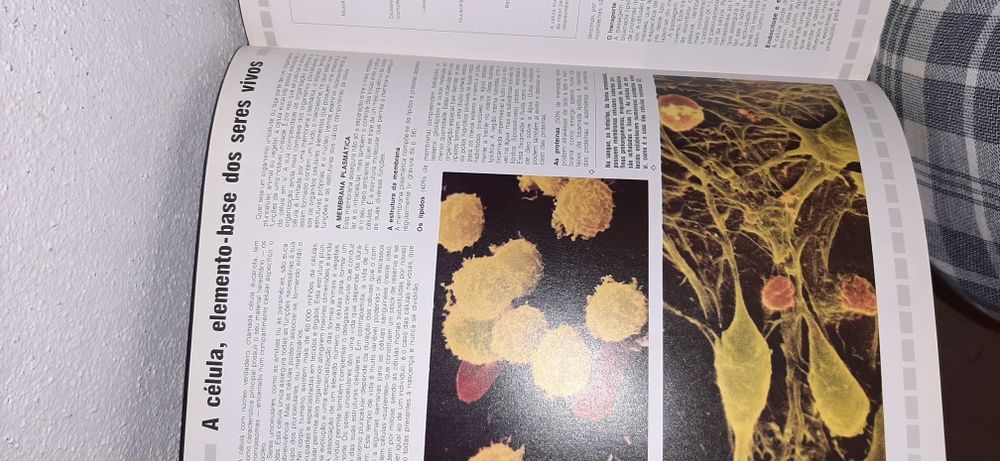 Livro AVENTURA DA VIDA 310 Paginas livro grande Entrego em Alfragide