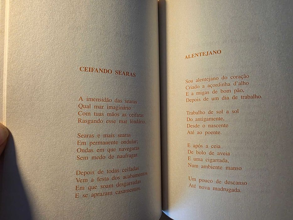 Livro "Os Versos dos meus Afectos" de José Godinho Pinto