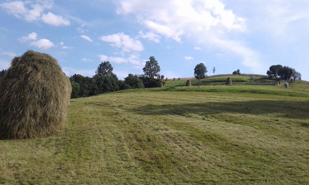 Продам будинок в Міжгірському районі