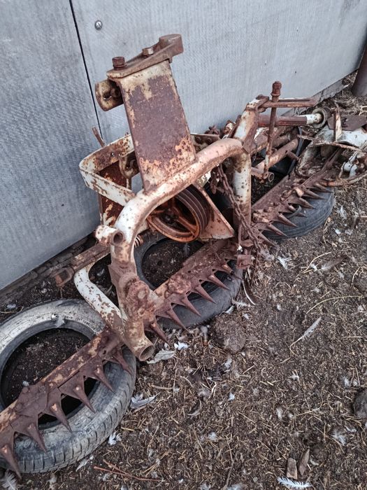 Косарка сигментна