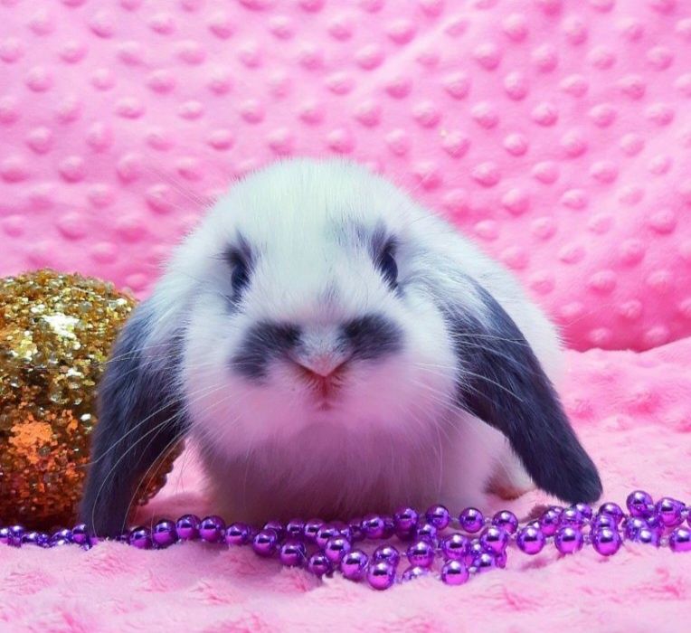 Ніжність у кожному русі!