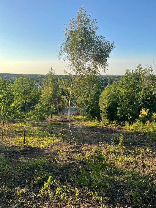 Продам ділянку в престижному селі Іванковичі 32 сотки (ВЛАСНИК)
