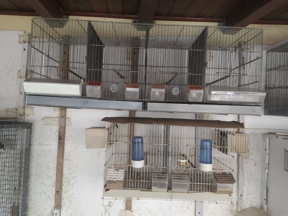 Gaiolas para pássaros