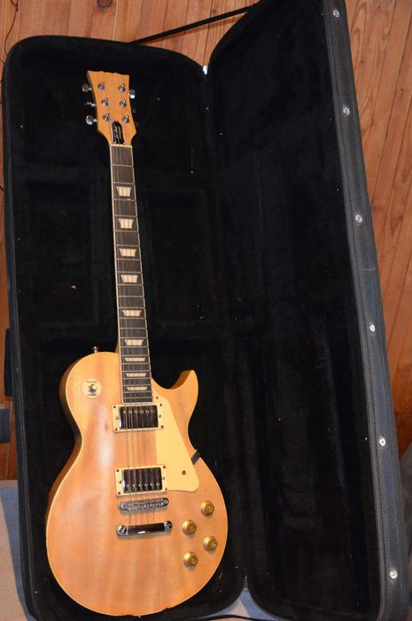 Les Paul Standard gitara elektryczna +  twardy Futerał