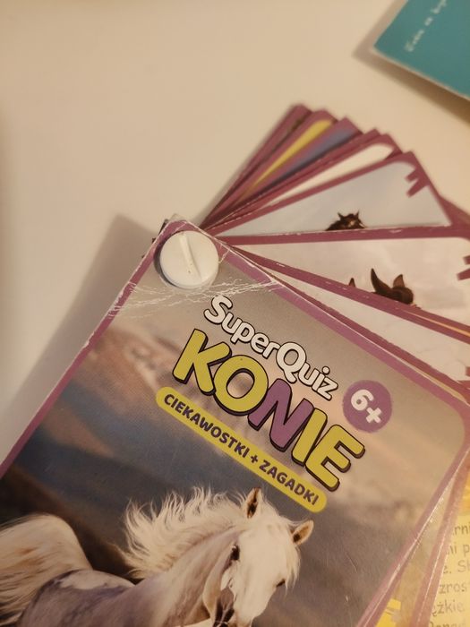 Zagadki Kapitan nauka, quiz i koniach, gry logiczne