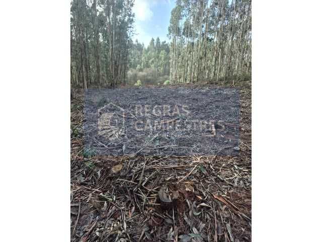 TERRENO RÚSTICO C/ VIABILIDADE DE CONSTRUÇÃO INDUSTRIAL BARRÔ - ÁGUEDA