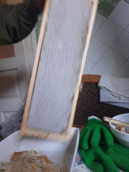 Бджоли. Продаю бджолині сімї,