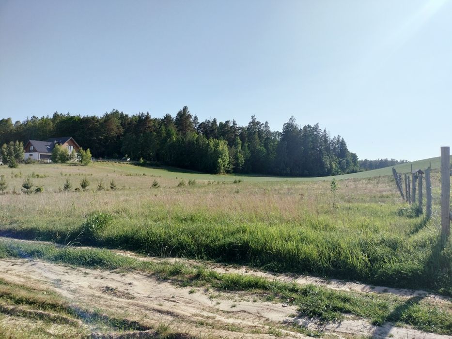 Działka 1500m. w Dzięcielcu