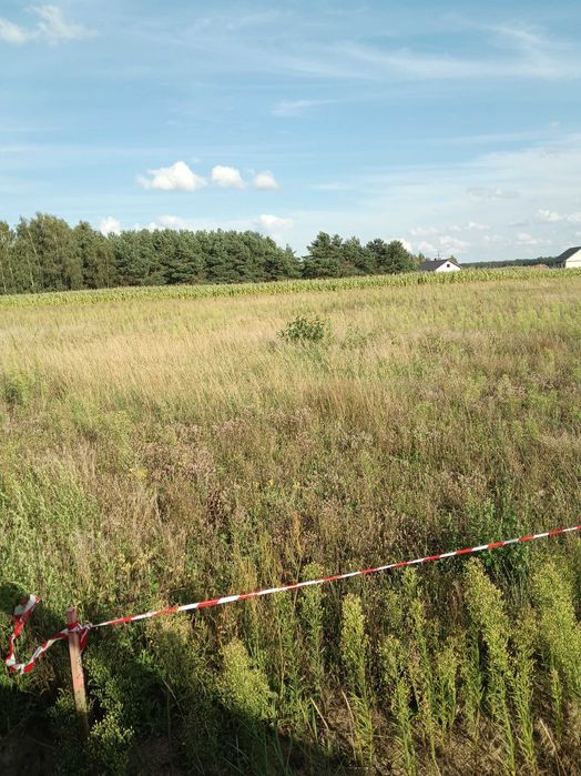 Działka budowlana Lubochnia - Widok 3