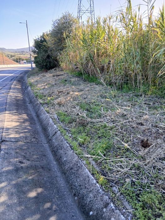 Limpeza e Manutenção de Terrenos e Jardins